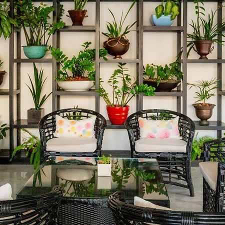 Palacio Mundo Imperial Riviera Diamante Ακαπούλκο Εξωτερικό φωτογραφία A balcony garden
