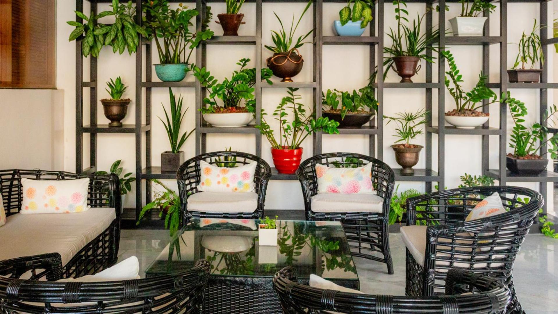 Palacio Mundo Imperial Riviera Diamante Ακαπούλκο Εξωτερικό φωτογραφία A balcony garden